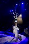 Хоровод в Тульском цирке, Фото: 111