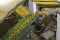 Как Тульская макаронная фабрика повысила производительность труда, Фото: 2